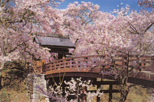 takatojo