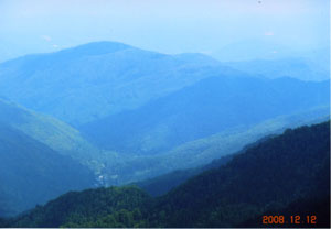 aidu5