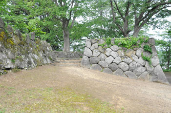iiyamajou