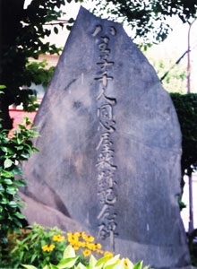 matsuhime5