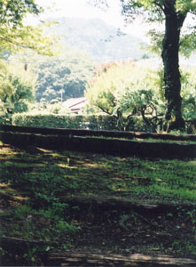 kobotoke4