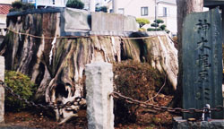 ono-5
