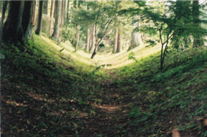 kagekatsu2