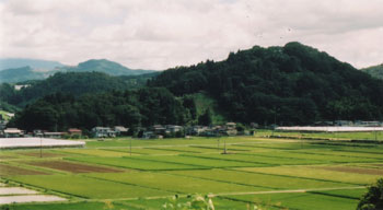 kagekatsu4