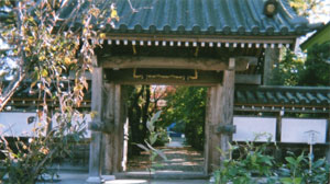 morinobu2