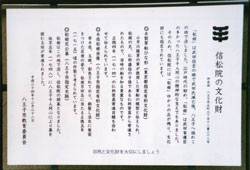 morinobu3