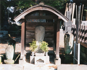 morinobu4