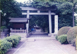 boshin8