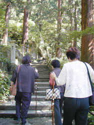 basho-11