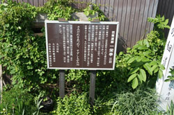 basho-5