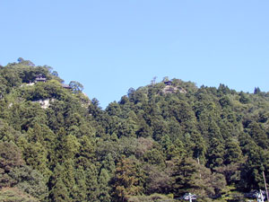 basho-8