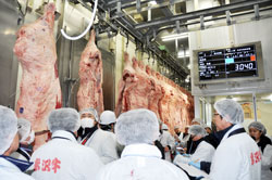 beef-2