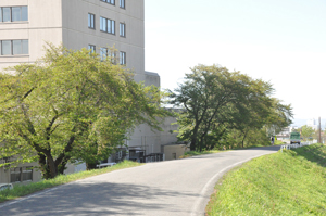 hospital-2